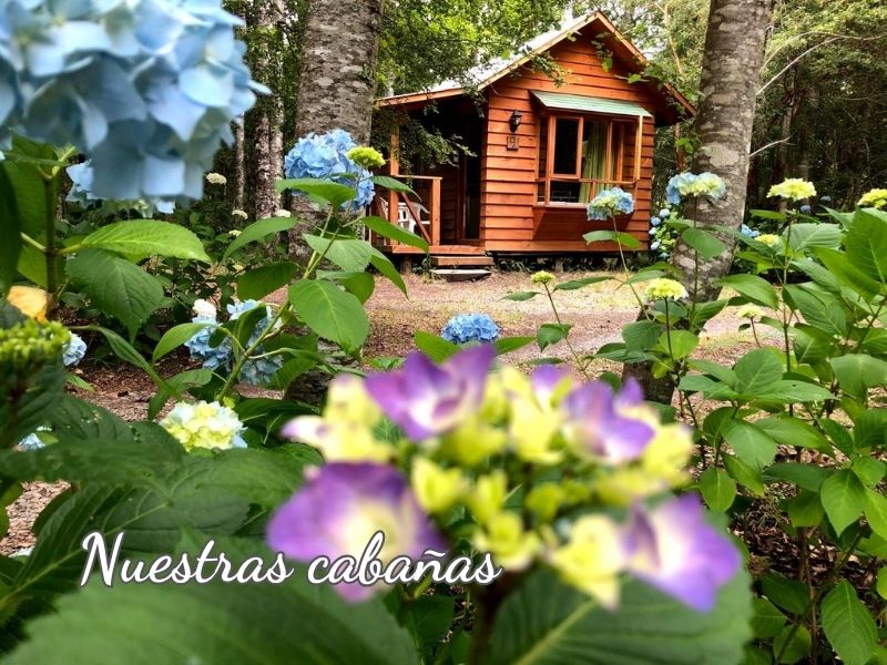 Cabanas molco