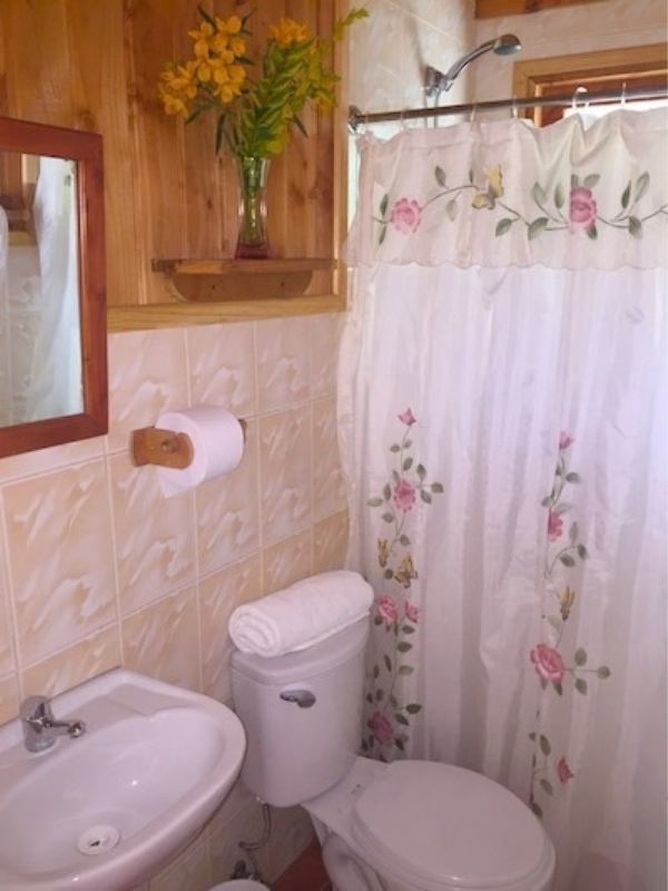 cabañas millaleufu