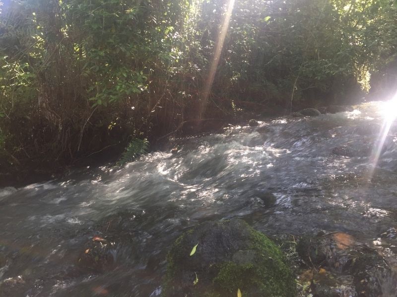rio molco de cabañas millaleufu